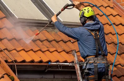 Démoussage et hydrofuge de toiture à Fréchou